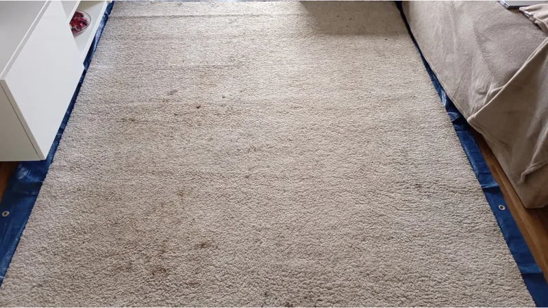 Tapetes — Antes da limpeza DeepClean